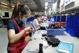 Công nhân tại một nhà máy ở Đồng Nai. (Ảnh: Minh Hưng/TTXVN)