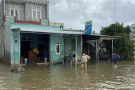 Mưa lớn gây ngập lụt ở tỉnh Bình Định của Việt Nam những ngày đầu tháng 12. (Nguồn: TTXVN)