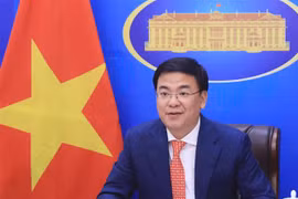 Thứ trưởng Ngoại giao Phạm Quang Hiệu. (Nguồn: TTXVN)