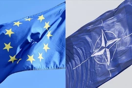 Ảnh minh họa. (Nguồn: Aa.com.tr)