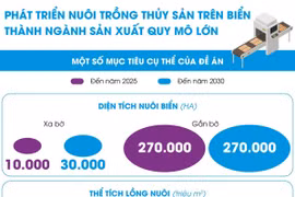 Phát triển nuôi trồng thủy sản thành ngành sản xuất quy mô lớn.