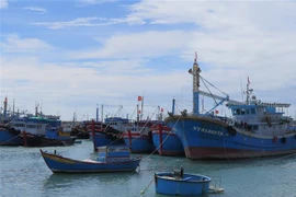 Các tàu cá tại Cảng cá Mỹ Tân, xã Thanh Hải, huyện Ninh Hải, tỉnh Ninh Thuận đều được lắp thiết bị giám sát hành trình. (Ảnh: Minh Hưng/TTXVN)