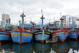 Hơn 5.800 tàu cá của ngư dân Bình Định đã vào trú ẩn an toàn tại các cảng cá, âu thuyền. (Ảnh: Nguyên Linh/TTXVN)