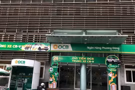 (Nguồn: laodong.vn)