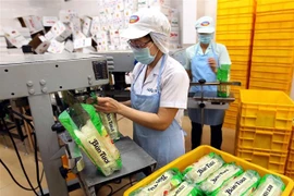 Đóng gói sản phẩm mỳ tại Công ty Cổ phần thực phẩm Safoco, thuộc Tổng công ty Lương thực miền Nam (Vinafood2) ở thành phố Cần Thơ. (Ảnh: Vũ Sinh/TTXVN)