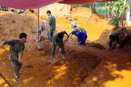 (Ảnh minh họa: TTXVN phát)