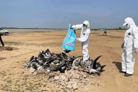 (Nguồn: phnompenhpost.com)