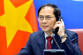 Bộ trưởng Ngoại giao Bùi Thanh Sơn. (Ảnh: TTXVN phát)