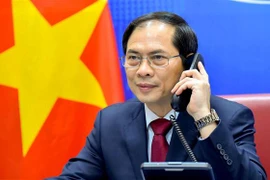 Bộ trưởng Ngoại giao Bùi Thanh Sơn. (Ảnh: TTXVN phát)