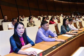 (Ảnh minh họa: Trọng Đức/TTXVN)