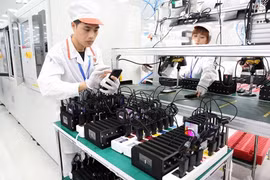 (Ảnh minh họa: Anh Tuấn/TTXVN)