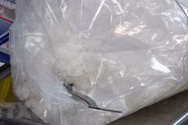 Phá chuyên án, bắt giữ 2 đối tượng vận chuyển 19kg ma túy tổng hợp