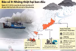 Những thiệt hại ban đầu do bão số 9 gây ra ở Nam Trung Bộ, Nam Bộ
