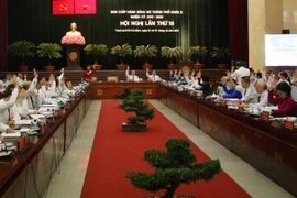 Các đại biểu thông qua chương trình hội nghị. (Ảnh: Tiến Lực/TTXVN)