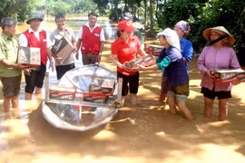 Ảnh minh họa. (Nguồn: TTXVN)