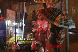 Ảnh minh họa. (Nguồn: Vietnam+)