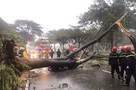 Mưa to gây ngập nước ở trên một số tuyến đường ở Thành phố Hồ Chí Minh ngày 25/11. (Nguồn: Báo SGGP)