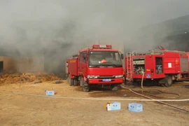 Hơn 100 cán bộ và 7 xe chữa cháy đã được điều động đến hiện trường. (Ảnh: Nguyễn Oanh/TTXVN)