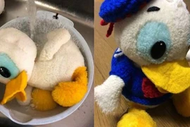 (Nguồn: Twitter/Chido Museum)