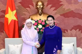 Chủ tịch Quốc hội Nguyễn Thị Kim Ngân tiếp Phó Thủ tướng Malaysia Datuk Seri Wan Azizah Wan Ismail. (Ảnh: Trọng Đức/TTXVN)