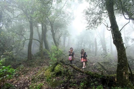 Vẻ đẹp hùng vĩ của Tả Liên Sơn thu hút nhiều bạn trẻ tới khám phá. (Ảnh: Quý Trung/TTXVN)