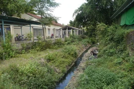 Khu vực nước thải bốc mùi hôi thối nồng nặc bên hông trường trung học cơ sở Cát Trinh. (Ảnh: Quốc Dũng/TTXVN)