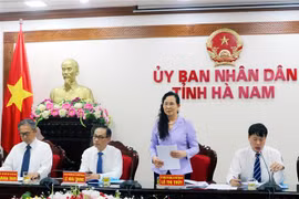 Bí thư Tỉnh ủy Hà Nam Lê Thị Thủy phát biểu tại buổi Tọa đàm. (Ảnh: Đại Nghĩa/TTXVN)