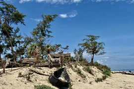 Sạt lở bờ biển làm ảnh hưởng lớn đến cuộc sống của nhiều người dân. (Ảnh: Mai Trang/TTXVN)