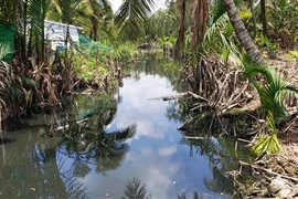 Nước tù đọng lâu ngày bốc mùi hôi thối, gây ảnh hưởng đến đời sống của người dân. (Ảnh: Trần Thị Thu Hiền/TTXVN)