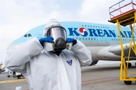 Máy bay của Korean Air tại sân bay Incheon, Hàn Quốc. (Ảnh: AFP/TTXVN)