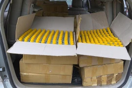 Số thuốc bảo vệ thực vật không rõ nguồn gốc được lực lượng chức năng thu giữ. (Ảnh: TTXVN/phát)