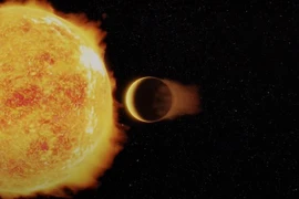 Ảnh minh họa. (Nguồn: cam.ac.uk)