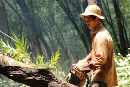 Công nhân đang cưa cắt cao su tại vùng dự án Sân bay Long Thành. (Ảnh: Công Phong/TTXVN)