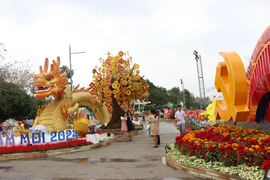 Người dân chụp ảnh kỷ niệm tại đường hoa Bình Dương. (Ảnh: Dương Chí Tưởng/TTXVN)