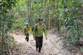 Lực lượng bảo vệ rừng Vườn Quốc gia Kon Ka Kinh tuần tra, bảo vệ rùng. (Ảnh: Hoài Nam/TTXVN)