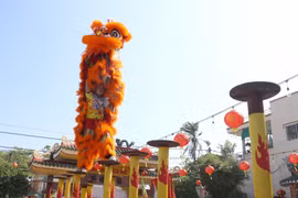 Múa Lân trên mai hoa thung luôn đòi hỏi sự hợp tác ăn ý và kỹ thuật khéo léo của 2 người. (Ảnh: Lê Thúy Hằng/TTXVN)