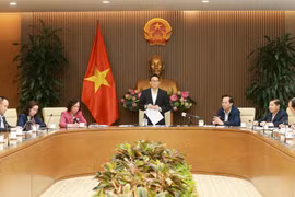 Phó Thủ tướng Vũ Đức Đam phát biểu. (Ảnh: Doãn Tấn/TTXVN)