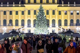 Chợ Giáng sinh ở Vienna, Áo. (Nguồn: AFP)