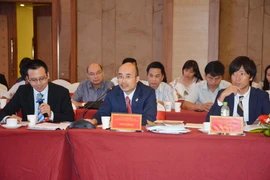 Đại biểu phát biểu tại hội thảo. (Ảnh: Hoài Thu/TTXVN).