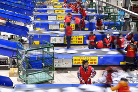 Công nhân Alibaba làm việc trong ngày Độc thân. (Nguồn: Getty Images)