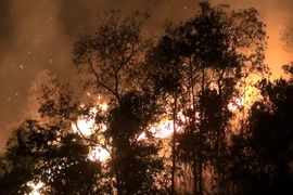 Hiện trường đám cháy tại bản Noong Luống A1, xã Noong Luống, huyện Điện Biên. (Ảnh: Phan Tuấn Anh/TTXVN) 