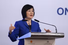 Đại sứ Nguyễn Nguyệt Nga. (Ảnh: Dương Giang/TTXVN)