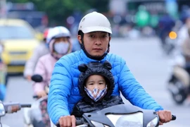 Ảnh minh họa. (Nguồn: TTXVN)