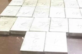 (Ảnh minh họa: Doãn Tấn/TTXVN)