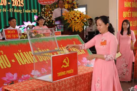 (Ảnh minh họa: Bùi Giang/TTXVN)