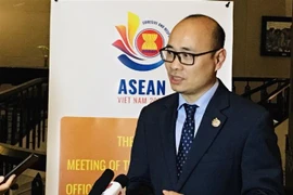 Ông Lương Hoàng Thái. (Ảnh: Trần Việt/TTXVN)