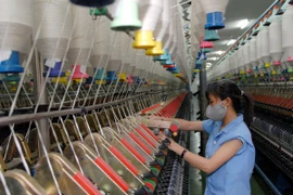 Ảnh minh họa. (Nguồn: TTXVN)