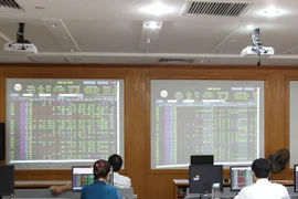 Ảnh minh họa. (Nguồn: PV/Vietnam+)