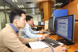 Ảnh minh họa. (Nguồn: TTXVN)