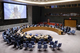 Một phiên họp của Hội đồng bảo an Liên hợp quốc. (Ảnh: AFP/TTXVN)